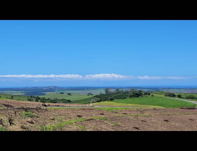 134HA FARM FOR SALE IN BALLITO RURAL